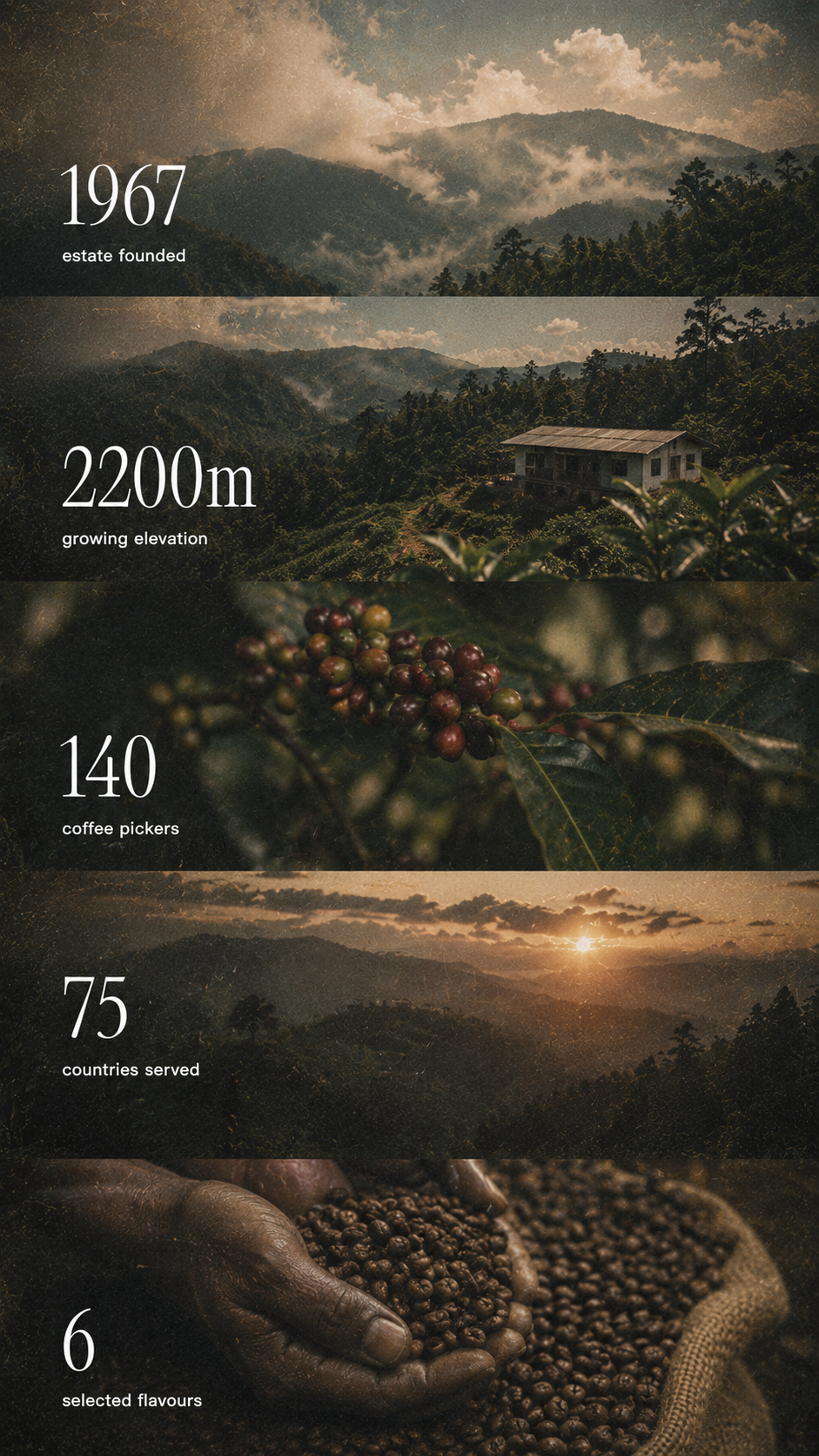 Estate founded 1967 · growing elevation 2200 m · 140 coffee pickers · 75 countries served · 6 selected flavours