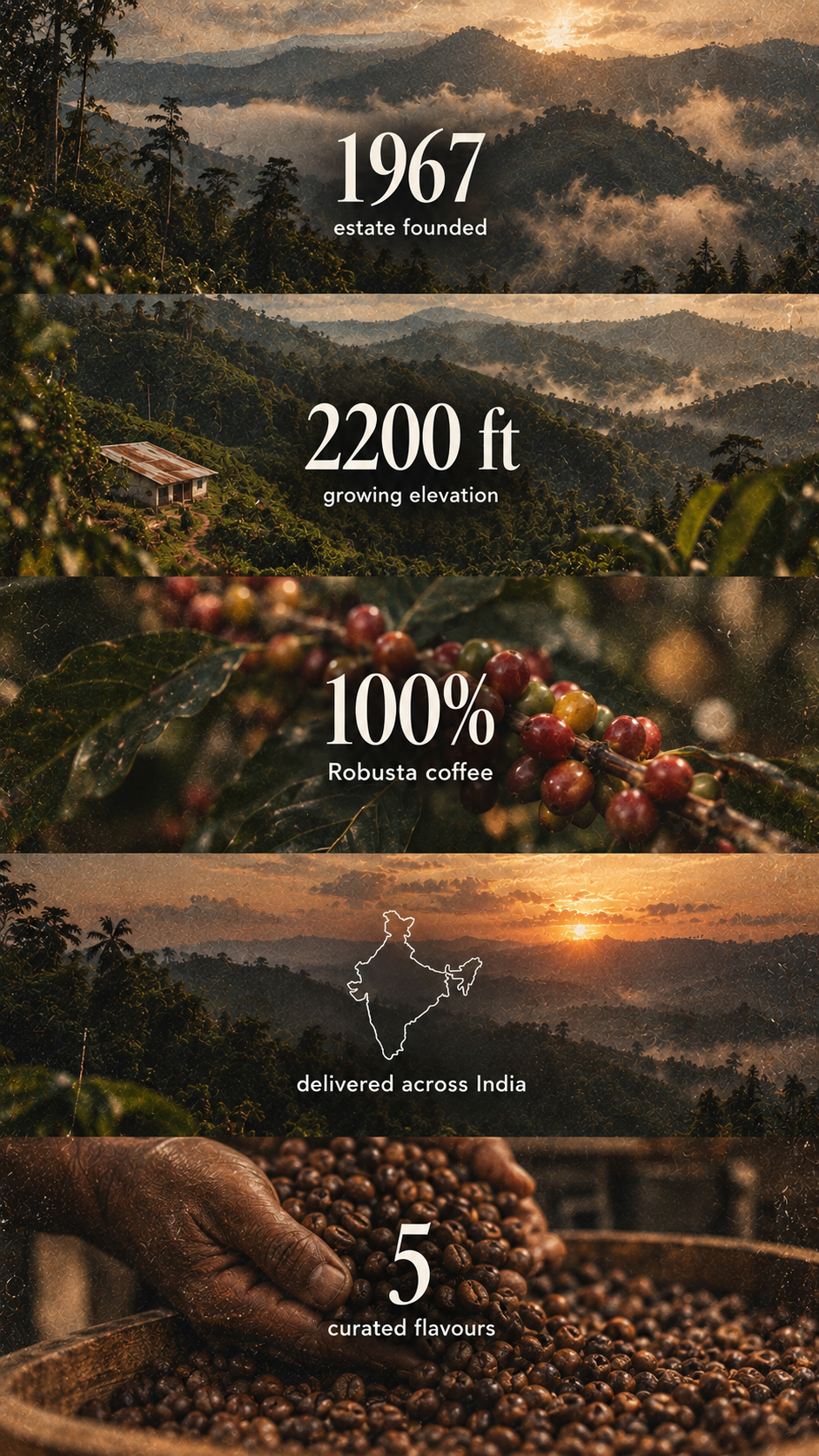 Estate founded 1967 · growing elevation 2,200 ft · 140 coffee pickers · 75 countries served · 6 selected flavours