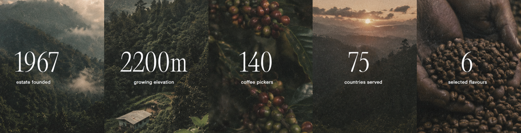 Estate founded 1967 · growing elevation 2200 m · 140 coffee pickers · 75 countries served · 6 selected flavours