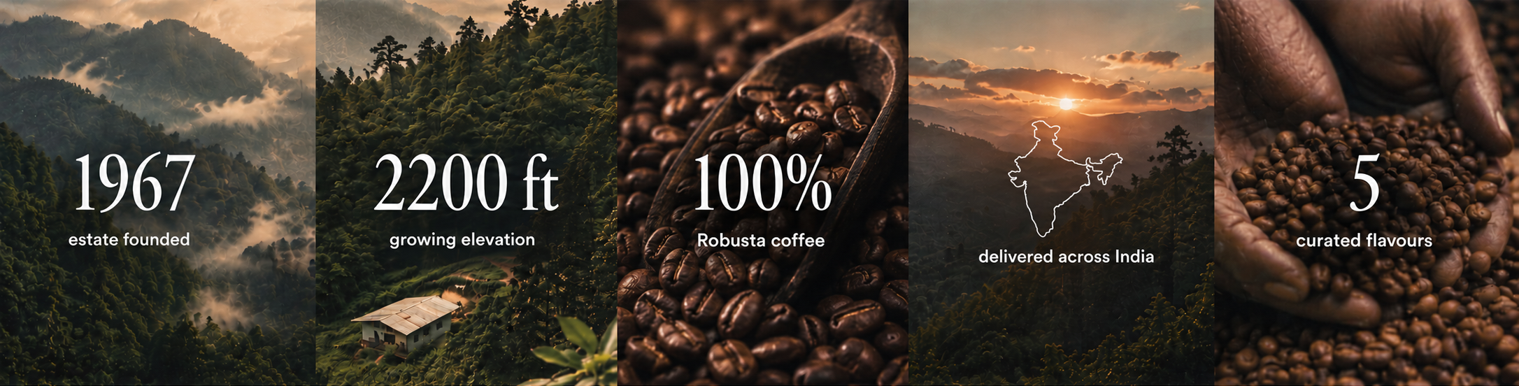 Estate founded 1967 · growing elevation 2,200 ft · 140 coffee pickers · 75 countries served · 6 selected flavours